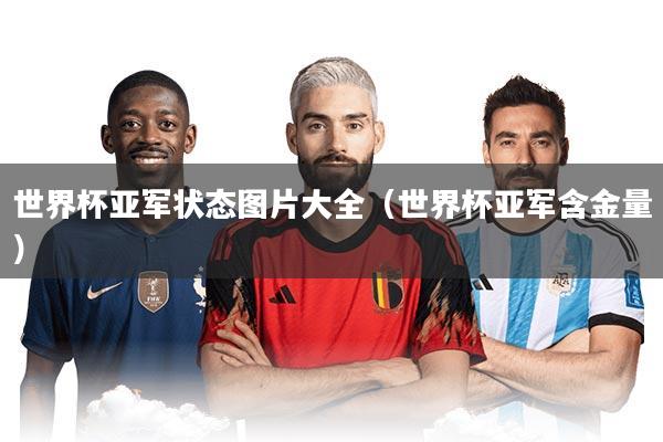 世界杯亚军状态图片大全（世界杯亚军含金量）