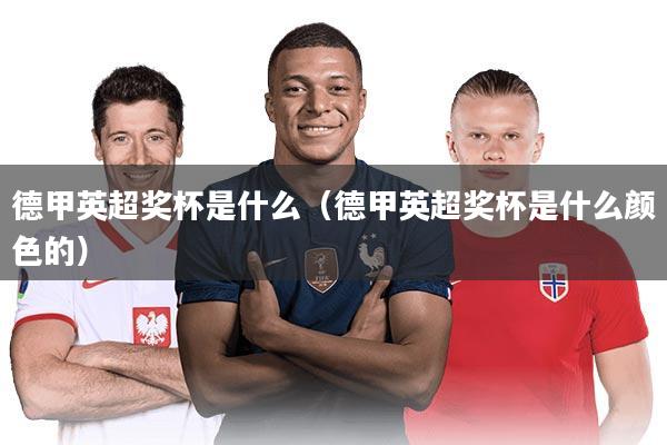 德甲英超奖杯是什么（德甲英超奖杯是什么颜色的）