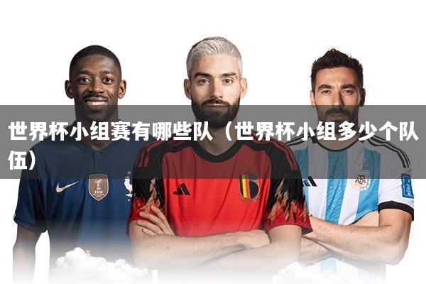世界杯小组赛有哪些队（世界杯小组多少个队伍）
